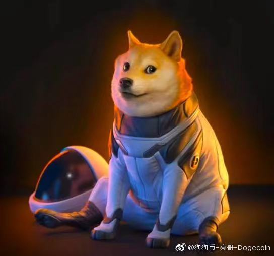 狗狗币创下年内新高，上扬幅高达291%，还能追吗？-九游APP