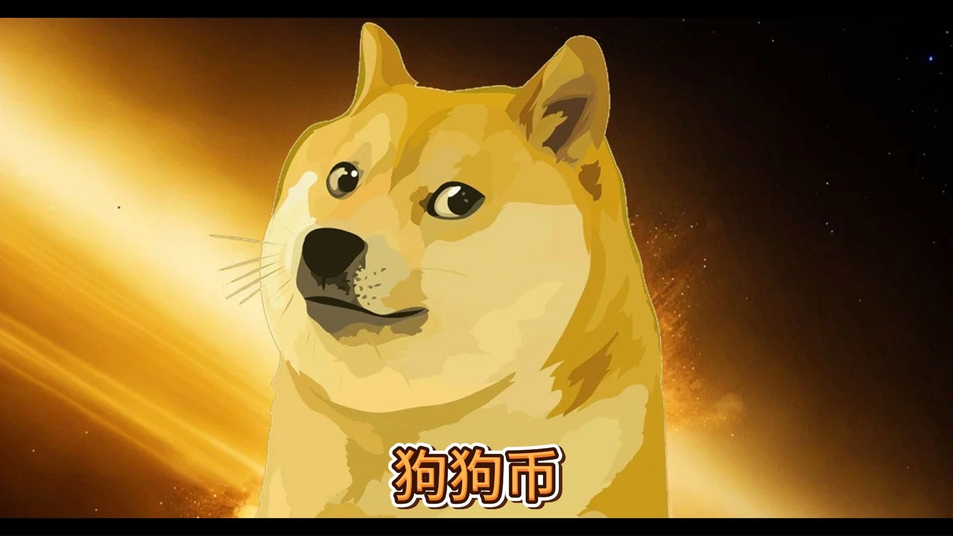 狗狗币创下年内新高，上扬幅高达291%，还能追吗？